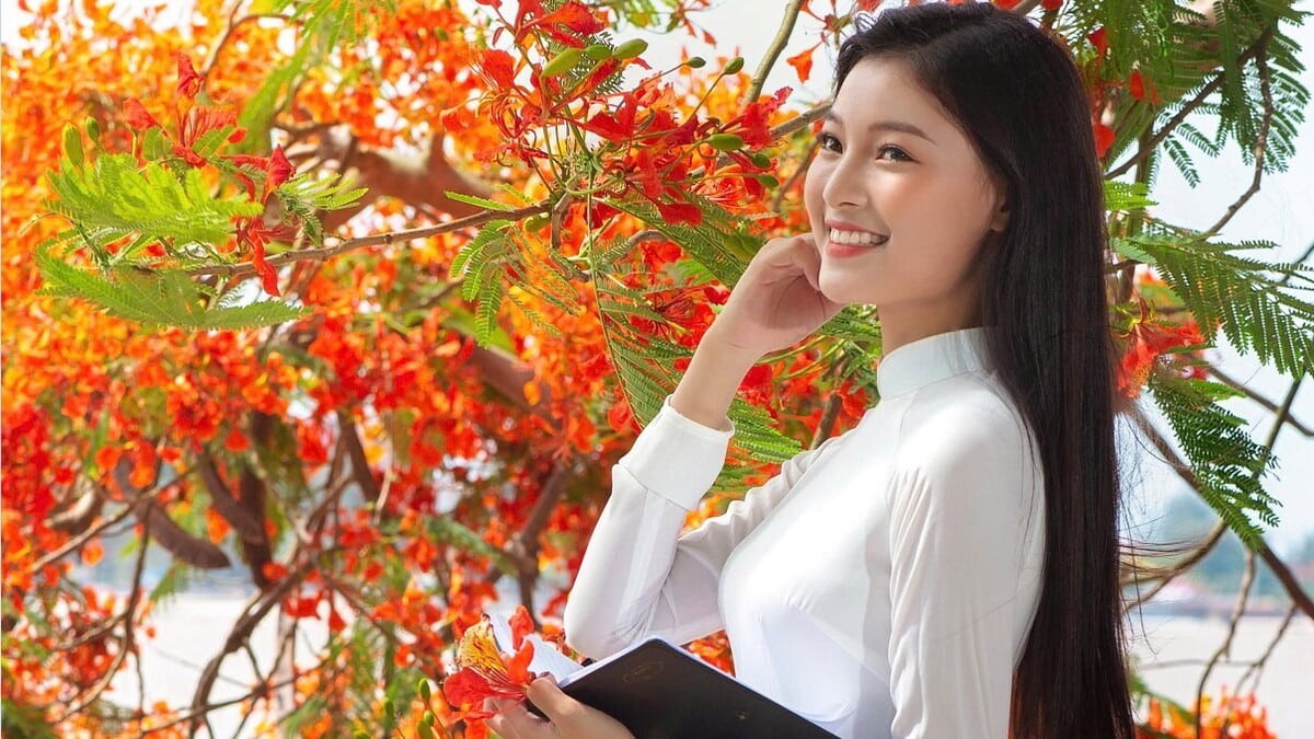 Hình ảnh hoa phượng nở báo hiệu mùa chia ly