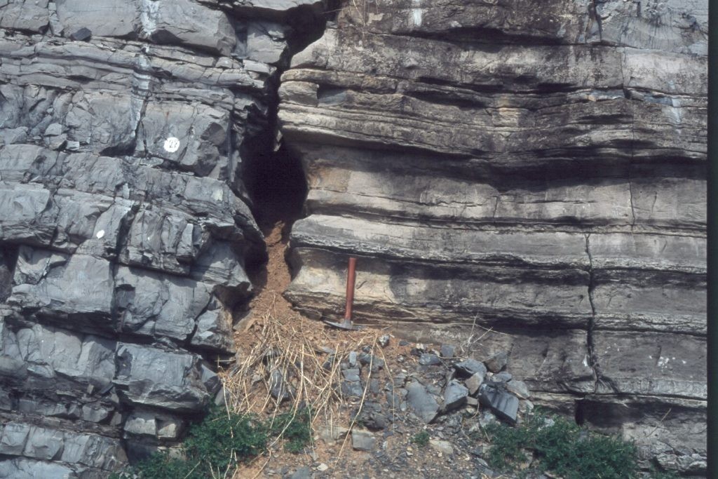 Phong hóa đá vôi