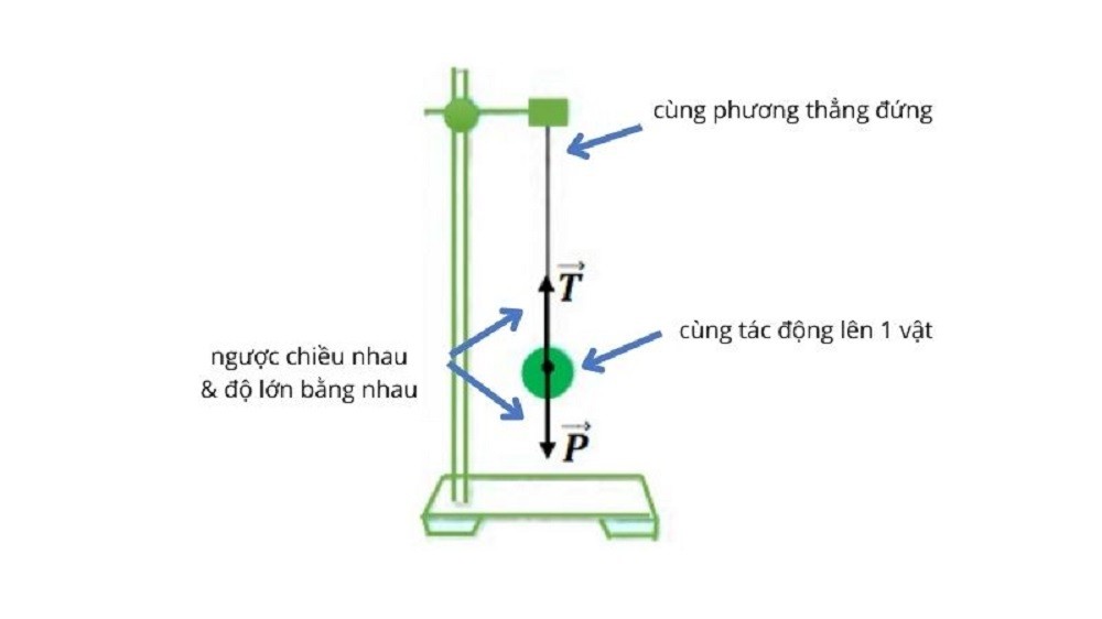 Các yếu tố cần xác định để biết hai lực có cân bằng hay không