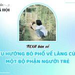 Ảnh minh họa cho xu hướng bỏ phố về làng