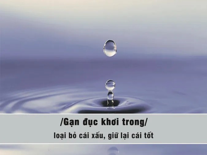 Gạn đục khơi trong là gì?