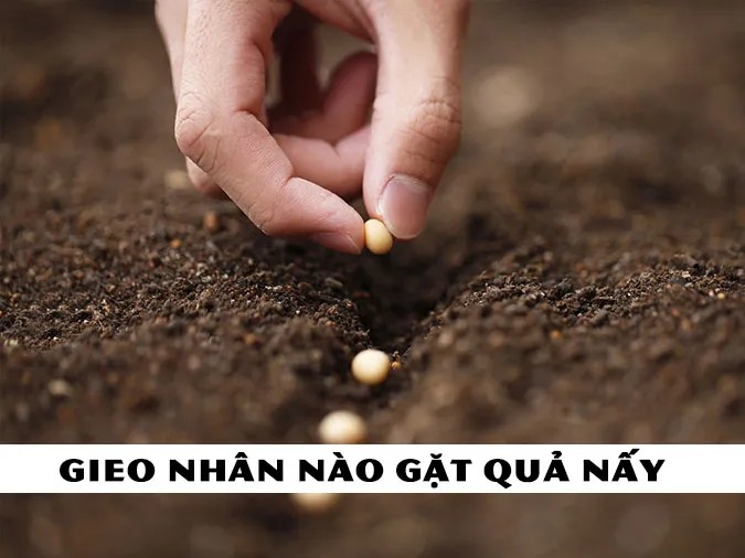 Ca dao tục ngữ về luật nhân quả