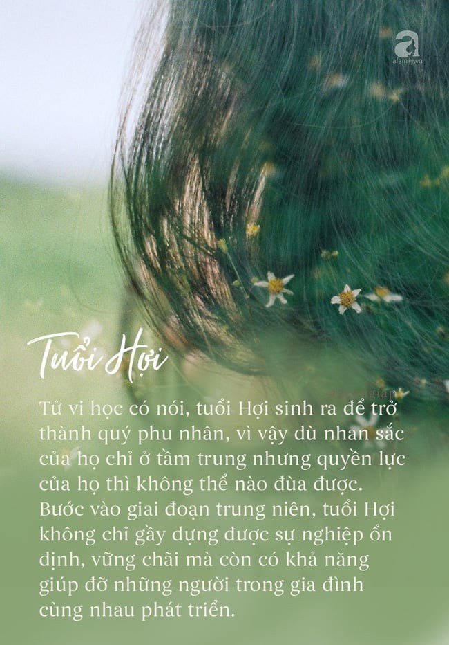 Xe tải Hino mạnh mẽ, bền bỉ, được nhiều khách hàng tin tưởng