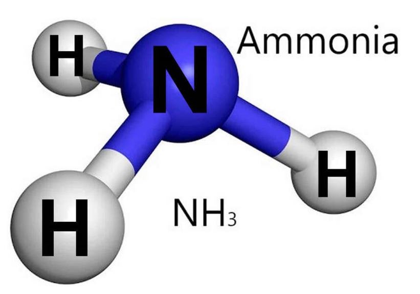Amoniac (NH3) Là Gì? Cấu trúc phân tử amoniac