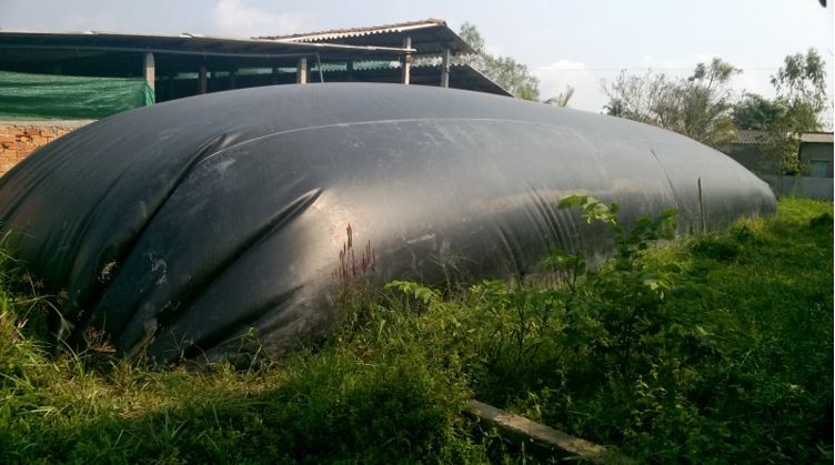 Hầm biogas sử dụng vi sinh vật phân hủy chất thải hữu cơ thành khí metan