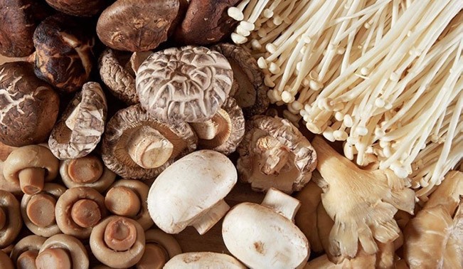 Nấm hương là đại diện tiêu biểu của giới Nấm (Fungi).
