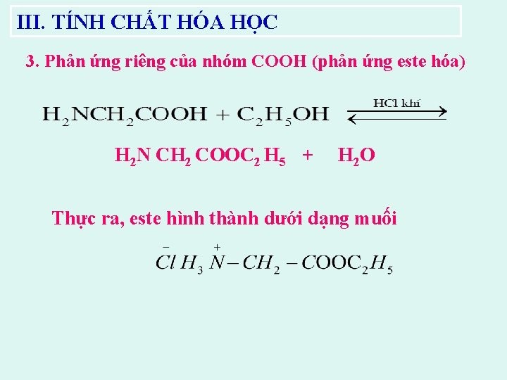 Phương trình phản ứng hóa học este hóa - Amino axit