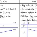 Đồ thị hàm số lũy thừa với các giá trị alpha khác nhau