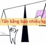 Bảng quy đổi từ yến sang tạ, kg và tấn