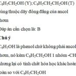 Cấu trúc phân tử của phenol (C6H5OH)