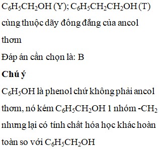Cấu trúc phân tử của phenol (C6H5OH)