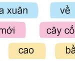 Sách Tiếng Việt 4 tập 2