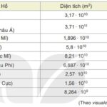 Hình ảnh minh họa bài toán sắp xếp diện tích hồ nước