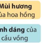 Xe tải chở hàng hóa nông sản tươi ngon từ các vùng quê
