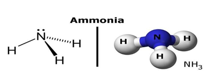 Công thức cấu tạo của amoniac NH3 với liên kết cộng hóa trị phân cực, thể hiện tính bazơ do cặp electron tự do trên nitơ