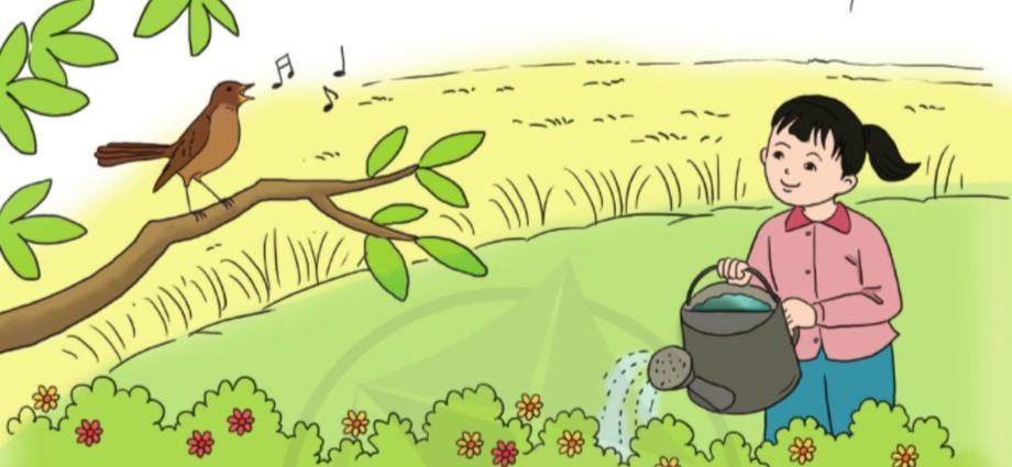Chim chích chòe hót buổi sáng