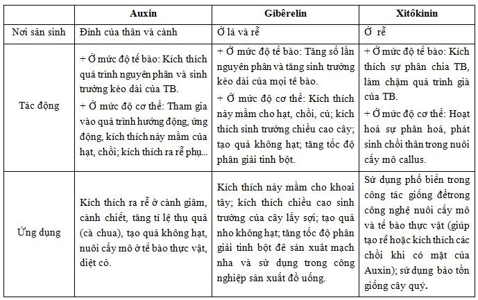 Tác động của Auxin, Gibberellin, Xitôkinin