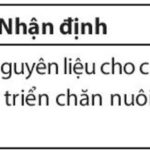 Ruộng lúa chín vàng ở đồng bằng sông Cửu Long, Việt Nam.