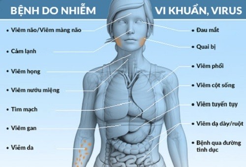 Vi khuẩn gây bệnh