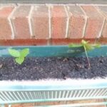 Xe Tải Mỹ Đình sẵn sàng tư vấn