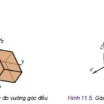 Hình chiếu trục đo vuông góc đều
