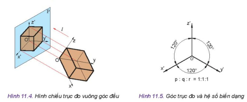 Hình chiếu trục đo vuông góc đều