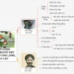 Ruộng lúa nước - Nguồn sống của cư dân Văn Lang Âu Lạc