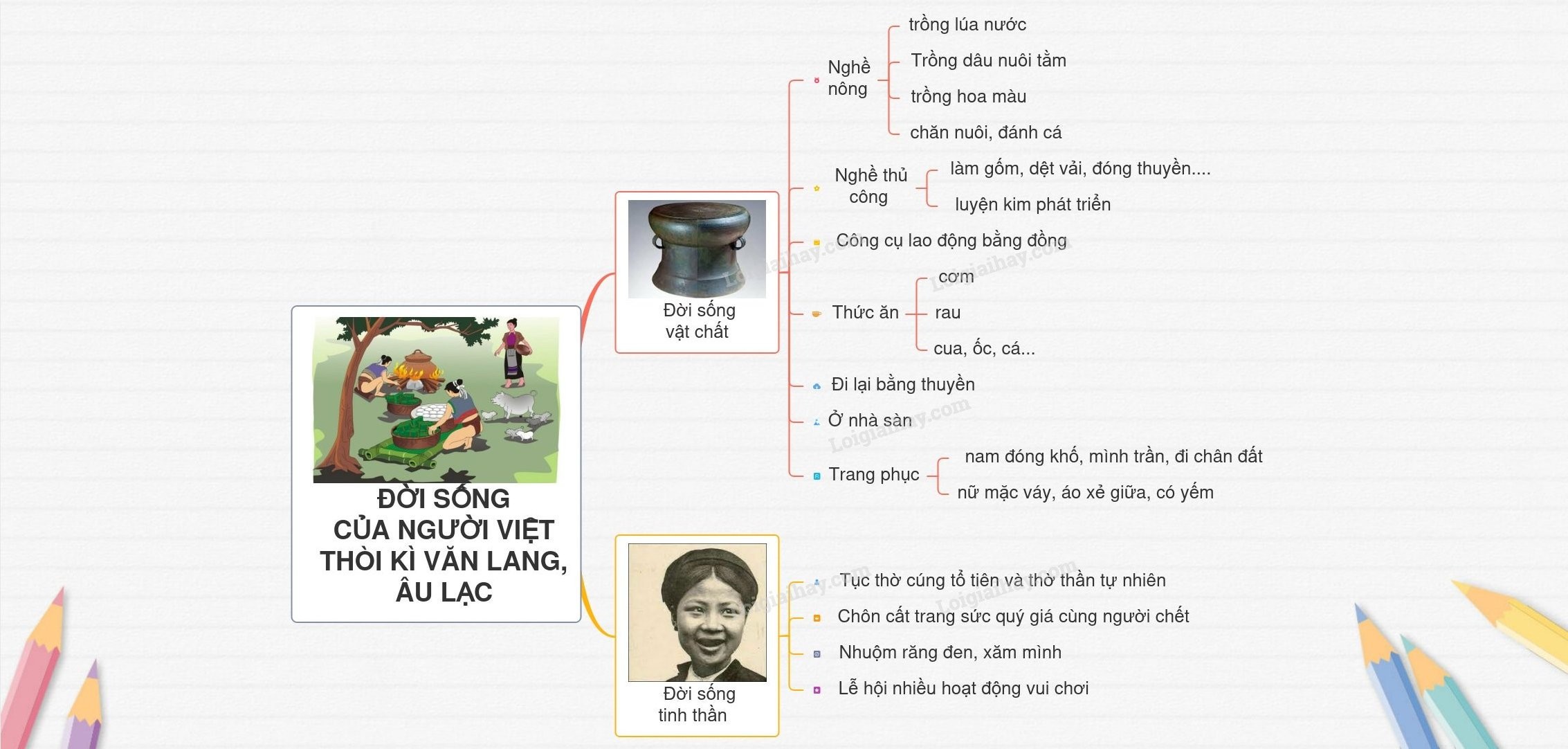 Ruộng lúa nước - Nguồn sống của cư dân Văn Lang Âu Lạc
