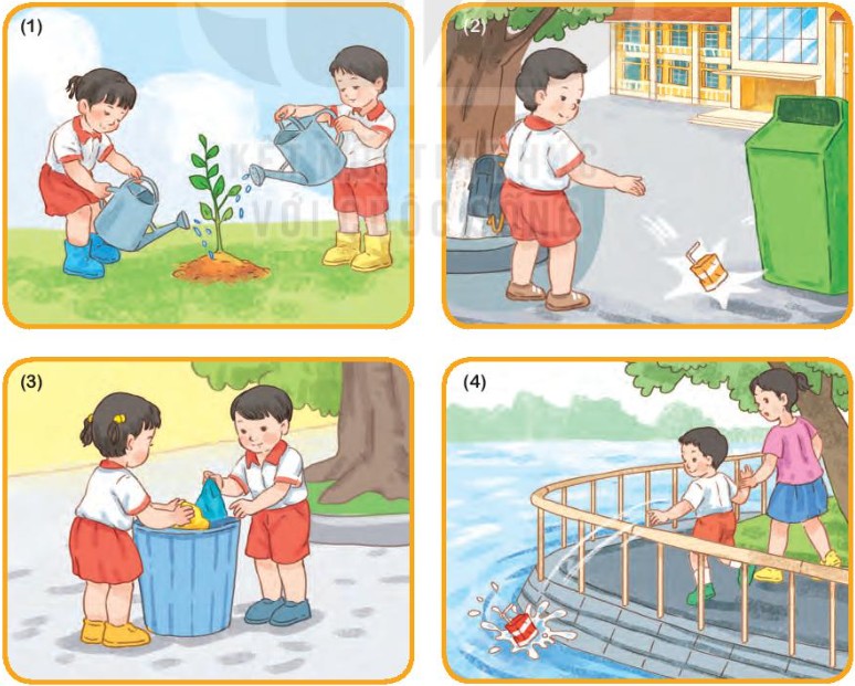 Các hành động bảo vệ môi trường và phá hoại môi trường