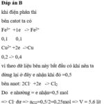 Điện phân dung dịch FeCl3