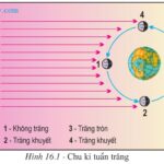 Vị trí tương quan giữa Mặt Trăng, Mặt Trời và Trái Đất ảnh hưởng đến thủy triều