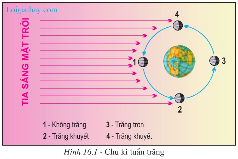 Vị trí tương quan giữa Mặt Trăng, Mặt Trời và Trái Đất ảnh hưởng đến thủy triều
