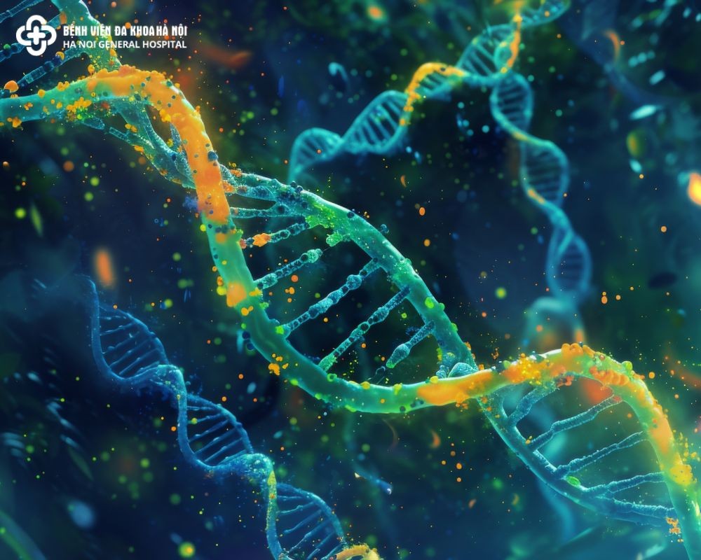 XÃ©t Nghiá»‡m DNA