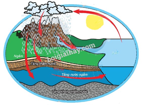 Nước ngầm hình thành từ nước mưa, sông, hồ thấm xuống đất