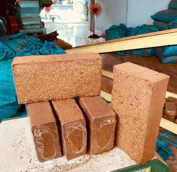 viên nén xơ dừa giúp cây trồng phát triển khỏe mạnh