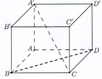 Hình hộp chữ nhật ABCD.A'B'C'D' với đáy ABCD là hình vuông