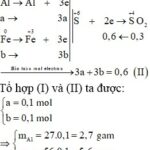 Sơ đồ phản ứng Al và Fe với H2SO4