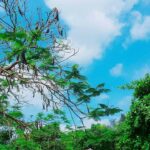 Cả khoảng trời vô tư, hồn nhiên cứ thế ăm ắp kỷ niệm mỗi lần nghĩ về (ảnh minh họa)