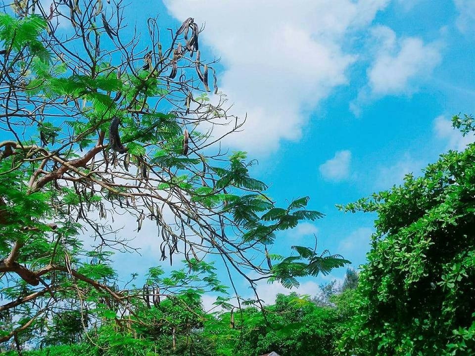 Cả khoảng trời vô tư, hồn nhiên cứ thế ăm ắp kỷ niệm mỗi lần nghĩ về (ảnh minh họa)