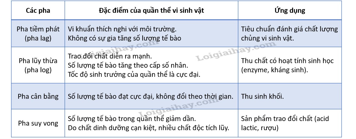 Ảnh minh họa pha dừng (stationary phase) trong trình tự sinh trưởng của vi khuẩn, cho thấy sự cân bằng giữa số lượng tế bào sinh ra và chết đi