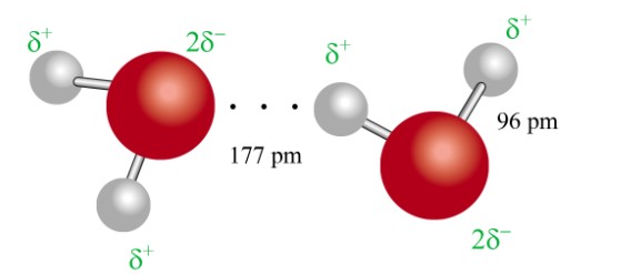Phân tử nước và liên kết hydro