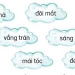 Xe tải màu xanh ngắt