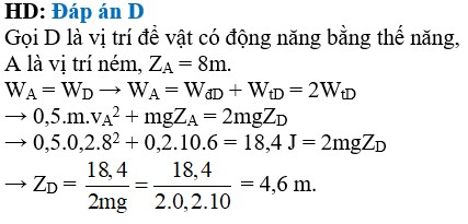 Học sinh ném vật lên cao