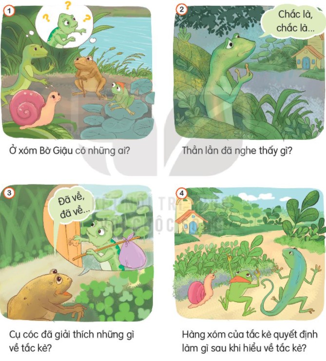 Cụ Cóc trong câu chuyện Hàng Xóm Của Tắc Kè, người lớn tuổi thông thái giải thích mọi chuyện