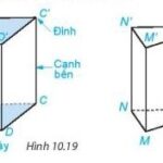 Hình lăng trụ tứ giác