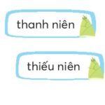 bé trai kháu khỉnh với đôi mắt to tròn