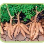 Hình ảnh minh họa một chiếc xe tải thùng kín