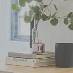 Gà thuộc lớp chim (Aves)