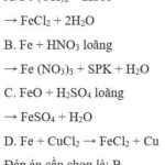 Phản ứng tạo muối sắt (III)