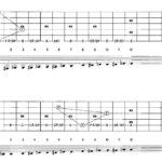 sao-truc-3